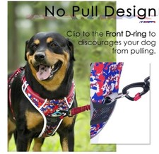 Gilet cane imbracatura