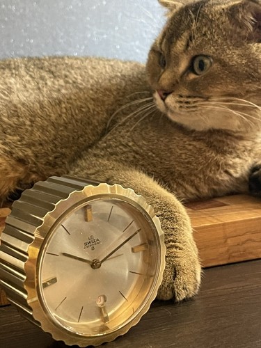 Orologio sveglia swiss swiza - e,