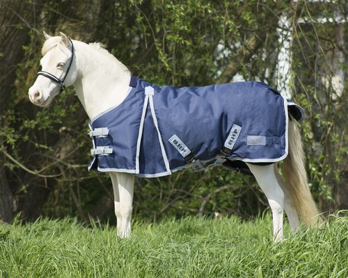 Qhp falabella mini shetty - qhp,