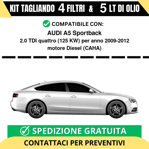 Tagliando per audi - tagliando,