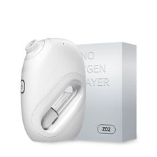 Nano Spruzzatore Facciale