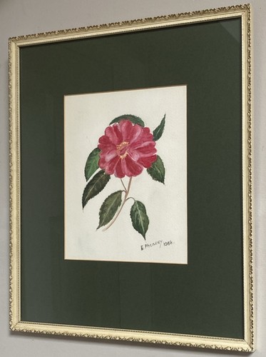 Quadro acquerello firmato rosa