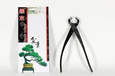 Tronchese bonsai taglio