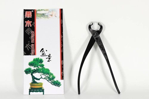 Tronchese bonsai taglio