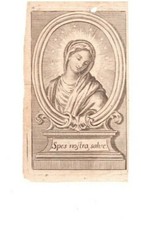 Madonna Spes nostra salve