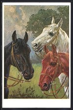 Cartolina Teste di tre