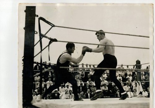 Primo carnera foto - carnera, press