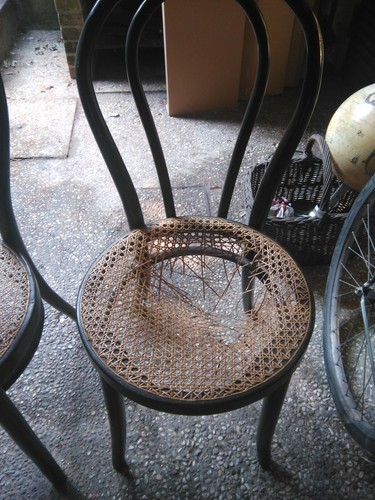 Sedie vienna thonet - , nere