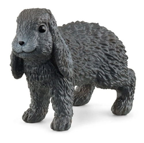 Coniglio ariete nano miniatura - nano,