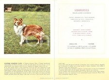 1956 MILANO Laboratori