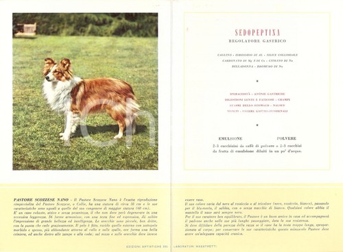 1956 milano laboratori - 1956,