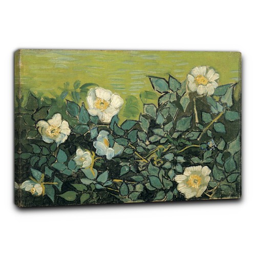 Niik quadro rose - niik, selvatiche