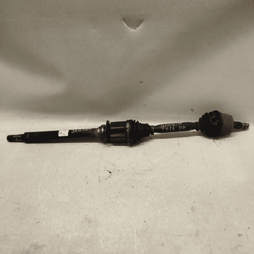 51806989 semialbero ant - semialbero,