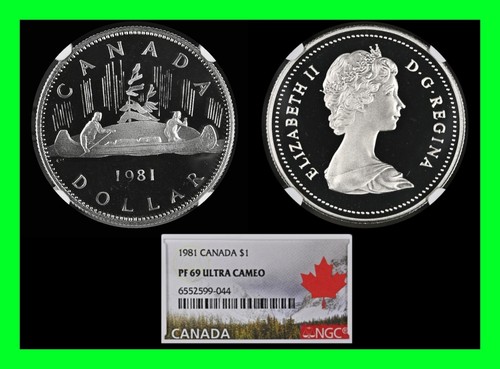 Bellissimo dollaro canadese - dollaro,