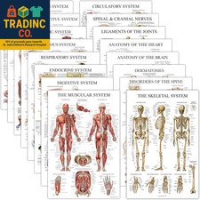 Confezione da 16 - Poster