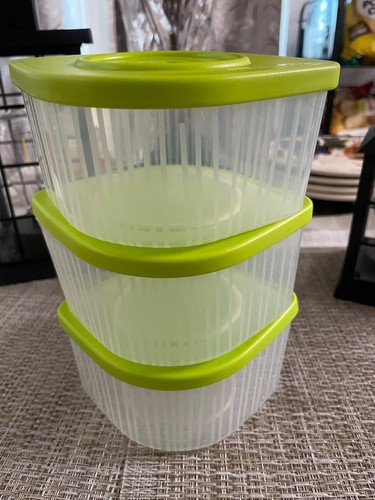 Tupperware fresh cool small - n,