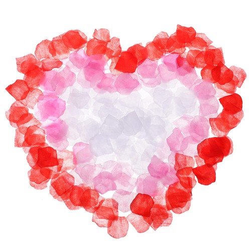 3000 pcs petali rosa finti - pcs, di