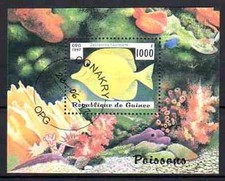 Pesci guinea blocco - pesci, (6)