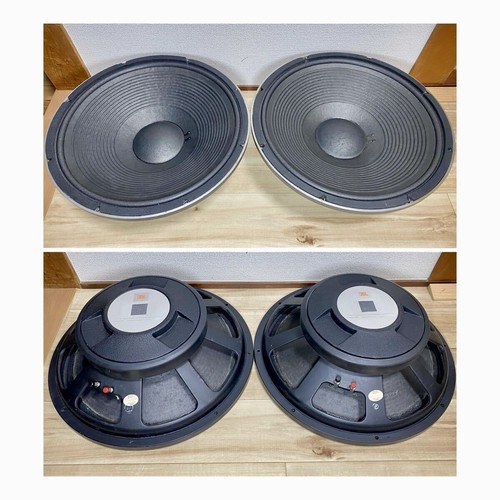 Coppia woofer altoparlanti