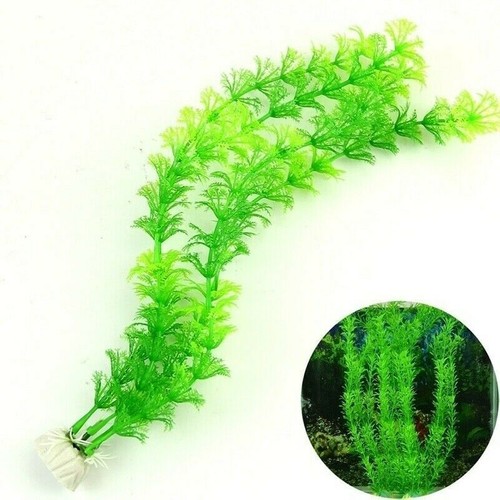 Artificiale finto plastica - artificiale,