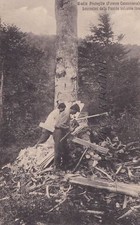 BADIA PRATAGLIA: Lavoratori delle piccole industrie forestali   1924