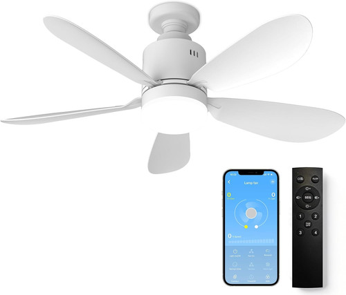 Ventilatore soffitto con - ventilatore,