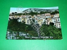 Cartolina Salemi - Panorama e Monte delle Rose 1955 ca