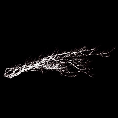 Audio art zoyd - audio,