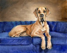 ✤ Dipinto Ritratto Cane Olio