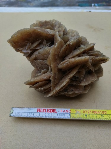 Rosa del deserto - rosa,
