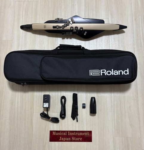 Roland 20sc aerofono - roland, ae-20sc