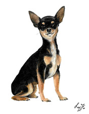 ✤ Dipinto Ritratto Olio