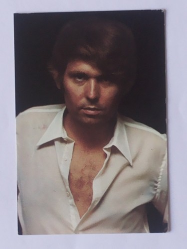 Calendario raphael año 1985 - calendario, raphael.