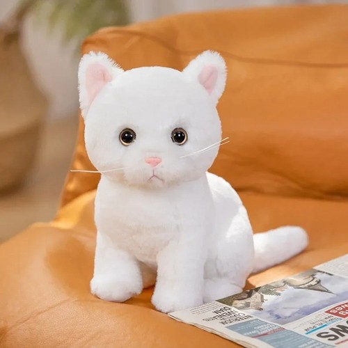 Peluche devon rex - peluche, bianco