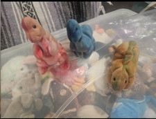 TY BEANIE BABIES  REX, STEG