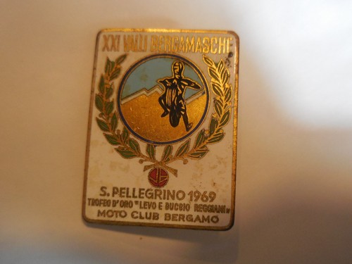 Distintivo spilla raduno - spilla,