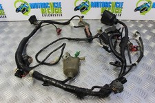 Telaio cablaggio principale Honda CBR 600 F dal 2001 al 2006 CBR600F CBR600 B147