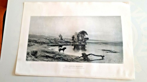 Litografia originale 800 - originale, le