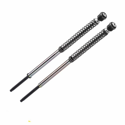 Kit ammortizzatori forcella