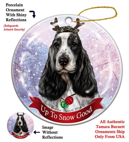 English cocker spaniel to - spaniel,