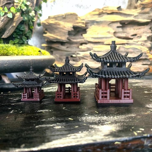 Bonsai cinese antico - , modello