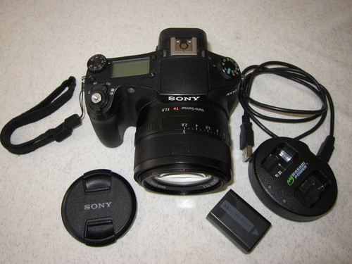 Sony dsc rx10 con obiettivo - sony,