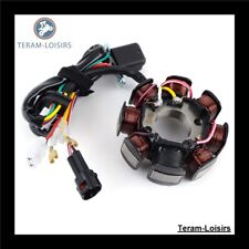 Stator Allumage pour KTM 660