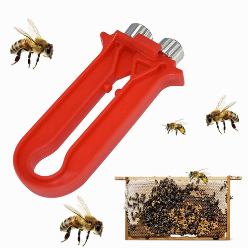 Beehive telaio attrezzo - beehive,