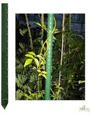 TUTORI ACCIAIO BRIXO PALETTI