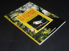 Gianni Ravazzi, I Canarini di Colore, De Vecchi 1990