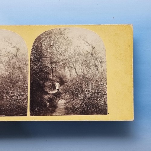 Hastings stereoview c1870 real - c1870,