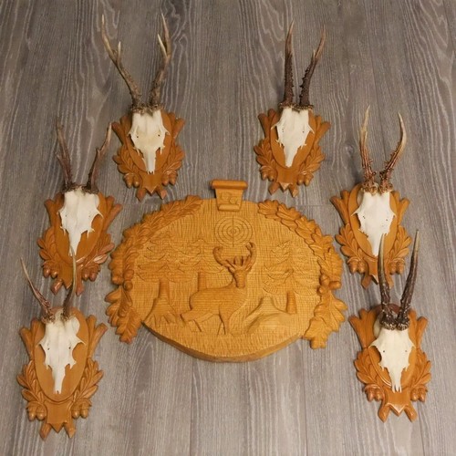 Pezzi corna cervo - corna,