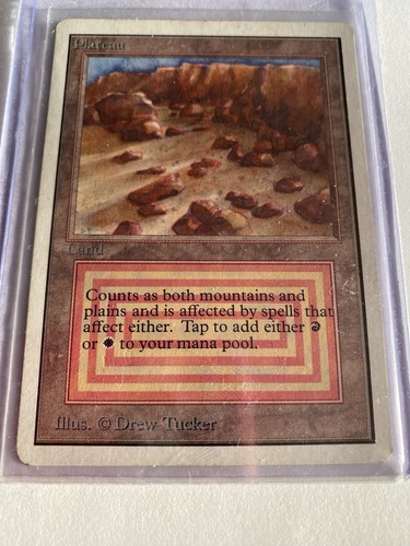 Mtg magic the gathering - mtg,