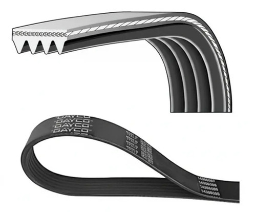 Cinghia trapezoidale